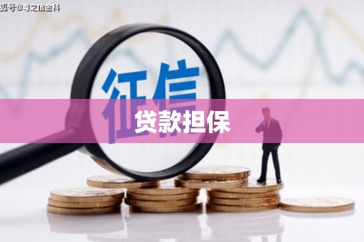 原平贷款担保