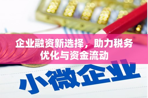 原平企业融资新选择，助力税务优化与资金流动