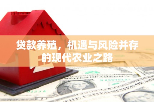 原平贷款养殖，机遇与风险并存的现代农业之路