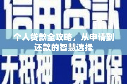 原平个人贷款全攻略，从申请到还款的智慧选择
