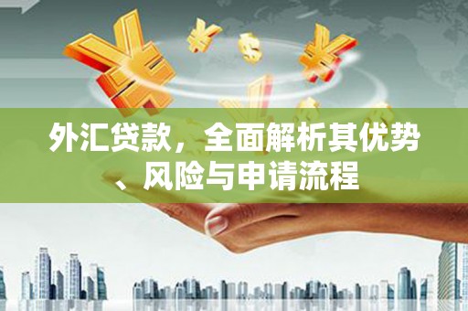 原平外汇贷款，全面解析其优势、风险与申请流程