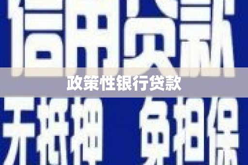 原平政策性银行贷款