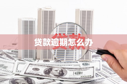 原平贷款逾期怎么办
