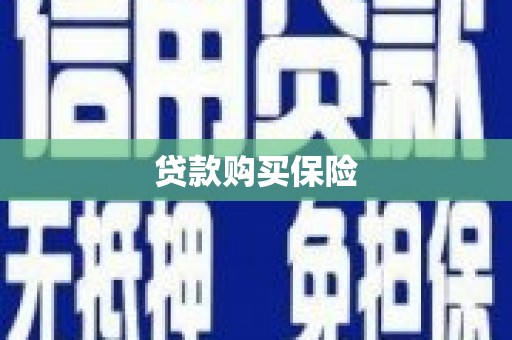 原平贷款购买保险