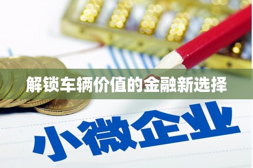 原平解锁车辆价值的金融新选择