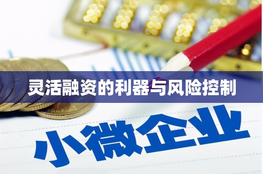 原平灵活融资的利器与风险控制