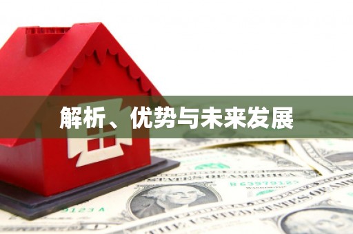 原平解析、优势与未来发展