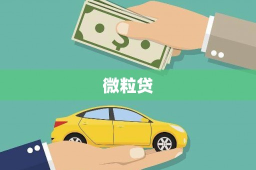 原平微粒贷