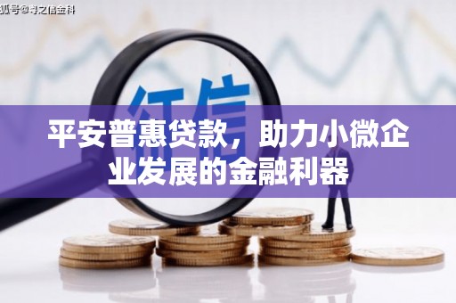 原平平安普惠贷款，助力小微企业发展的金融利器
