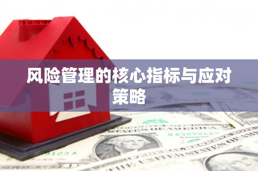 原平风险管理的核心指标与应对策略