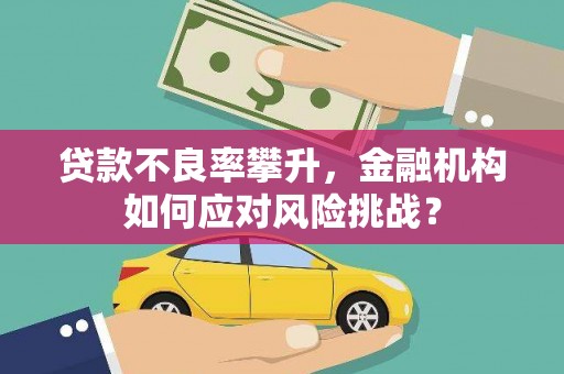 原平贷款不良率攀升，金融机构如何应对风险挑战？