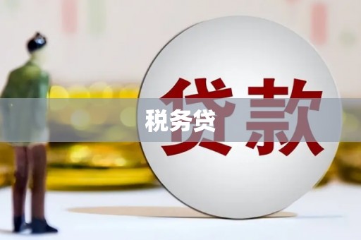 原平税务贷