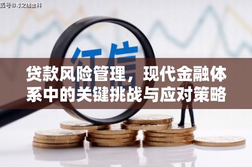 原平贷款风险管理，现代金融体系中的关键挑战与应对策略