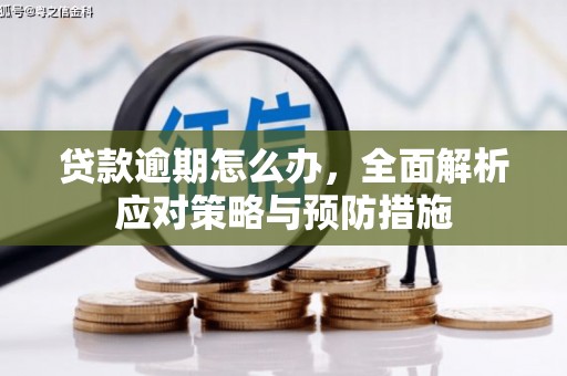 原平贷款逾期怎么办，全面解析应对策略与预防措施