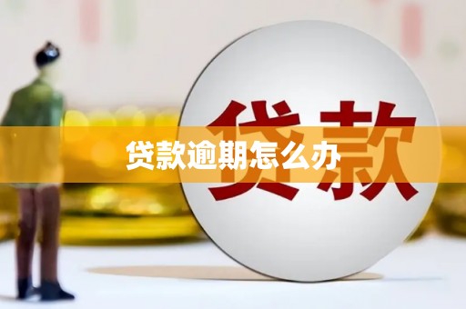 原平贷款逾期怎么办