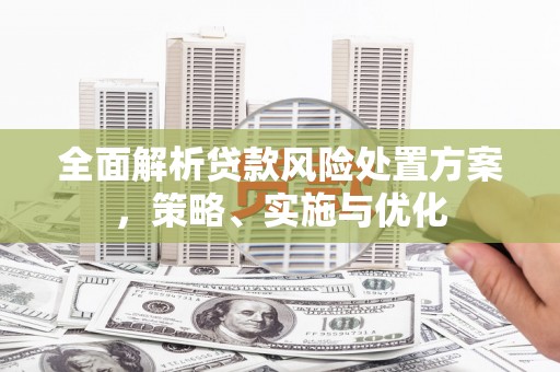 原平全面解析贷款风险处置方案，策略、实施与优化