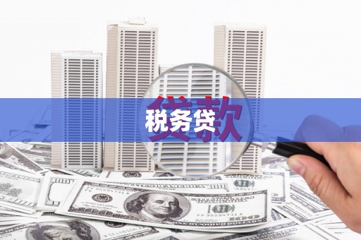 原平税务贷