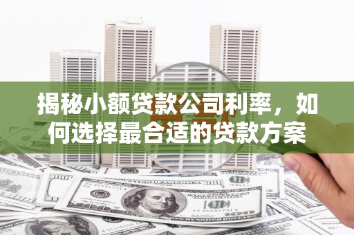 原平揭秘小额贷款公司利率，如何选择最合适的贷款方案