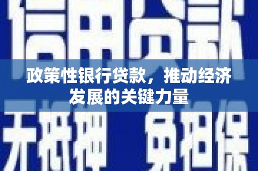 原平政策性银行贷款，推动经济发展的关键力量