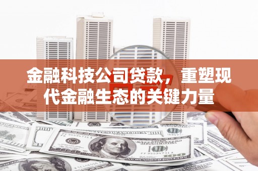 原平金融科技公司贷款，重塑现代金融生态的关键力量