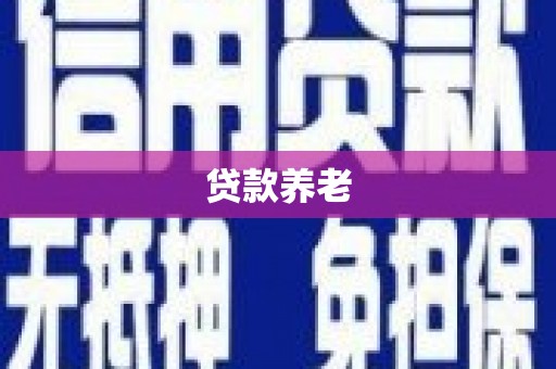 原平贷款养老
