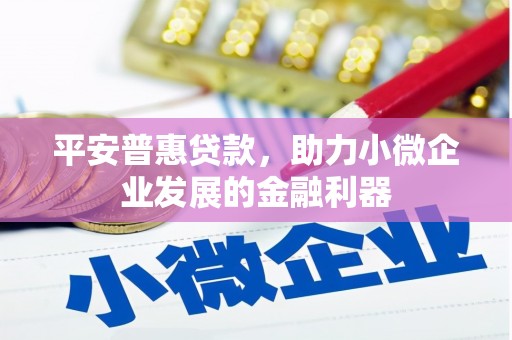 原平平安普惠贷款，助力小微企业发展的金融利器