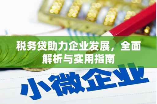 原平税务贷助力企业发展，全面解析与实用指南