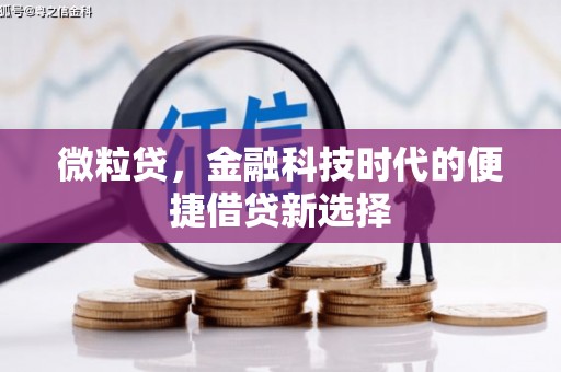 原平微粒贷，金融科技时代的便捷借贷新选择