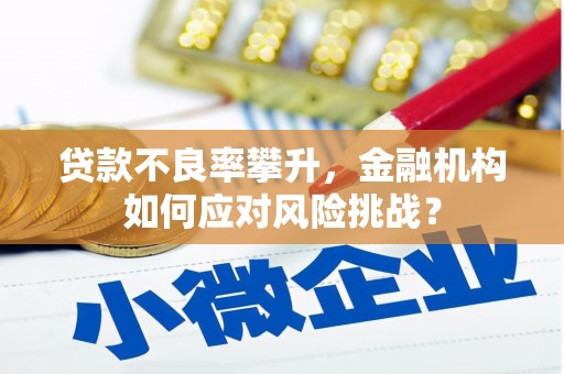 原平贷款不良率攀升，金融机构如何应对风险挑战？