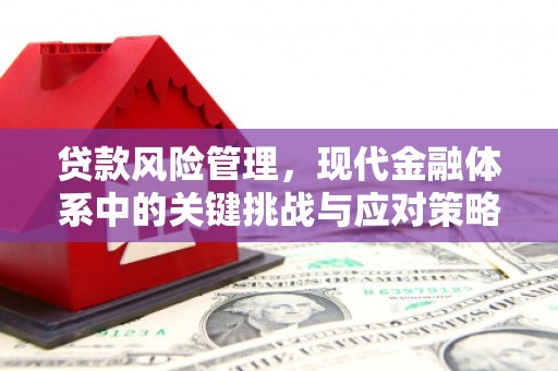 原平贷款风险管理，现代金融体系中的关键挑战与应对策略