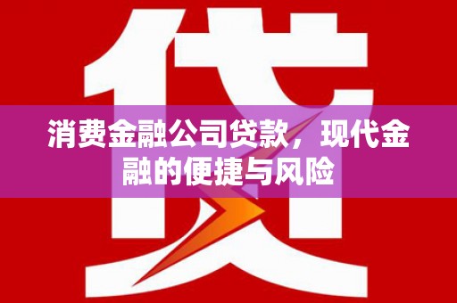 原平消费金融公司贷款，现代金融的便捷与风险