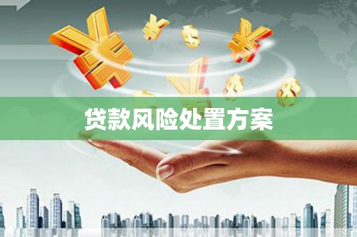 原平贷款风险处置方案