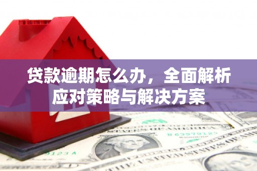 原平贷款逾期怎么办，全面解析应对策略与解决方案