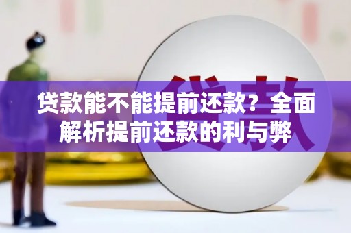 原平贷款能不能提前还款？全面解析提前还款的利与弊