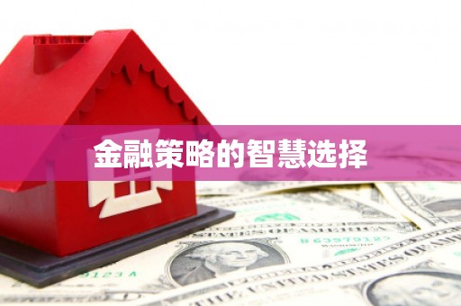 原平金融策略的智慧选择