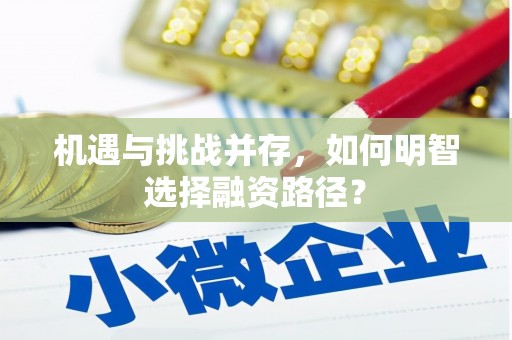 原平机遇与挑战并存，如何明智选择融资路径？