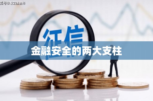 原平金融安全的两大支柱